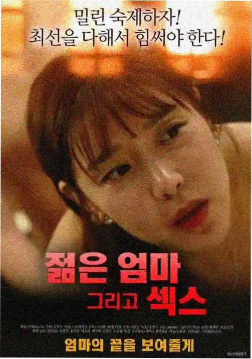 姐姐的星星小说封面